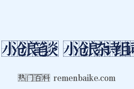 小沧浪笔谈·小沧浪杂诗组词是什么意思的图片